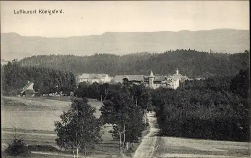 Ak Königsfeld im Schwarzwald, Teilansicht, Wald