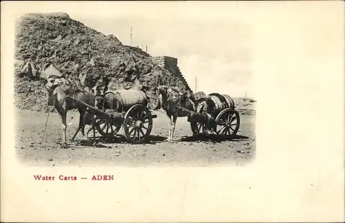 Ak Aden Jemen, Wasserfuhrwerke, Kamele