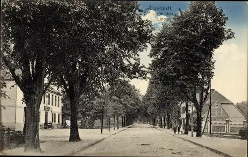 Ak Tostedt in Niedersachsen, Unter den Linden