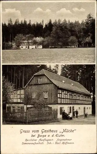 Ak Berga an der Elster Thüringen, Gasthaus Mücke