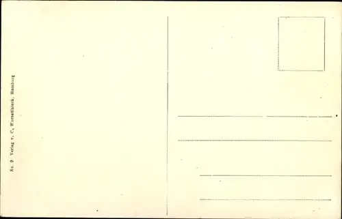 Ak Hamburg, Gesamtansicht, Zeppelin-Luftschiff