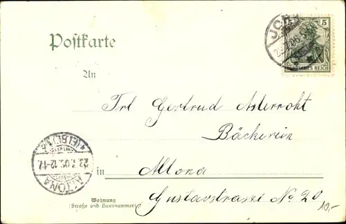 Ak Jork im Alten Land, Straßenpartie