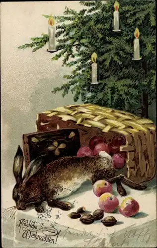 Präge Ak Glückwunsch Weihnachten, Tannenbaum, Früchte, Nüsse, Hase