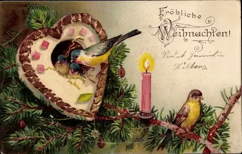 Präge Litho Glückwunsch Weihnachten, Tannenbaum, Lebkuchen, Vögel