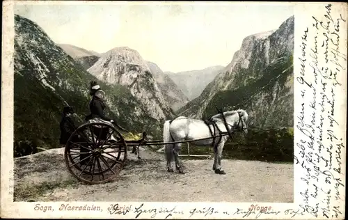 Ak Norwegen, Naerødalen, Kutsche in den Bergen