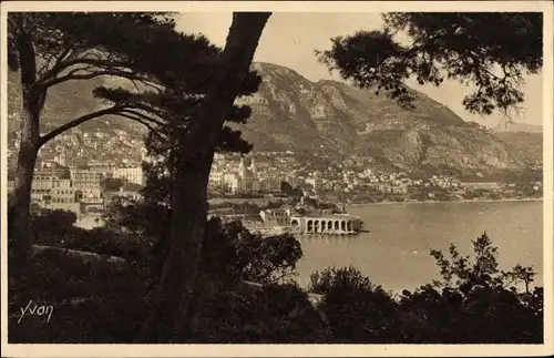 Ak Monte Carlo Monaco, Panorama