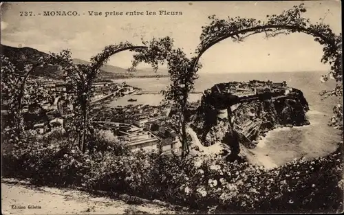 Ak Monaco, Blick zwischen den Blumen