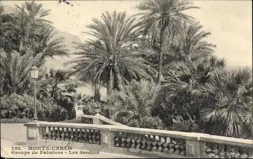 Ak Monte Carlo Monaco, Gärten, Palmen