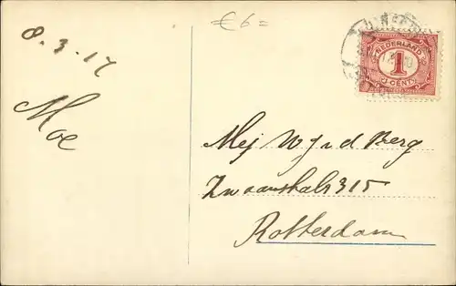 Ak Langhaarige Katze, Tierportrait