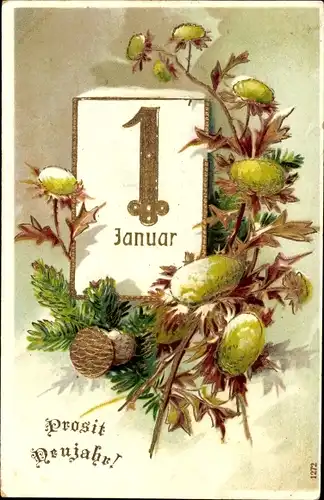 Präge Ak Glückwunsch Neujahr, Kalender, Tannenzweige