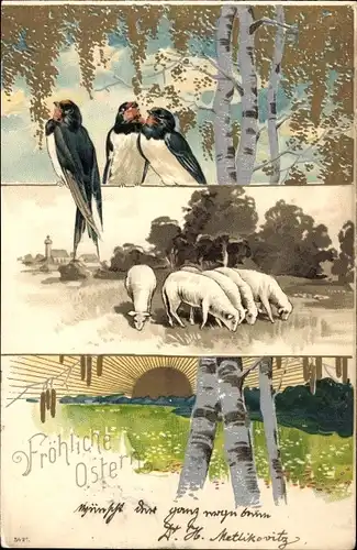 Präge Litho Glückwunsch Ostern, Lämmer, Birken, Schwalben, Sonne
