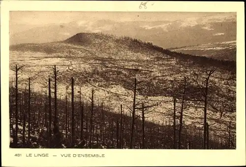 Ak Le Linge Elsass Bas Rhin, Teilansicht