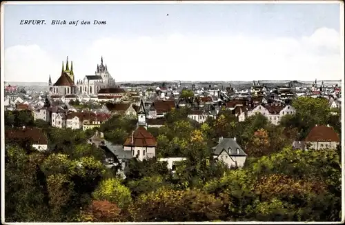 Ak Erfurt in Thüringen, Gesamtansicht, Dom