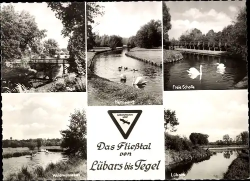 Ak Berlin Reinickendorf Lübars, Strandbad, Fließtal, Freie Scholle, Waidmannslust, Hermsdorf