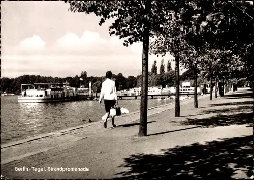 Ak Berlin Reinickendorf Tegel, Strandpromenade, Anlegestelle