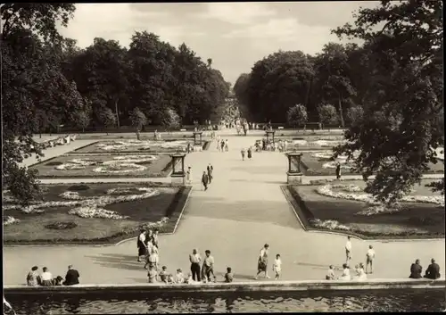 Ak Berlin Lichtenberg Friedrichsfelde, Tierpark Berlin, Südparterre, Hauptallee