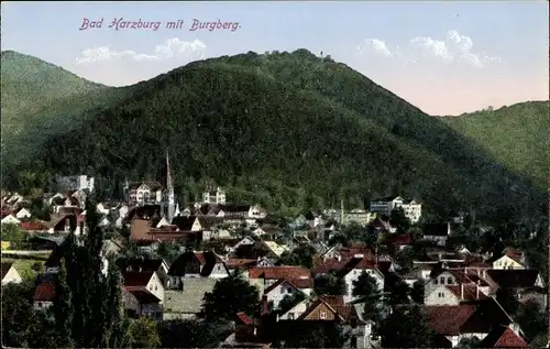 Ak Bad Harzburg am Harz, Teilansicht, Burgberg