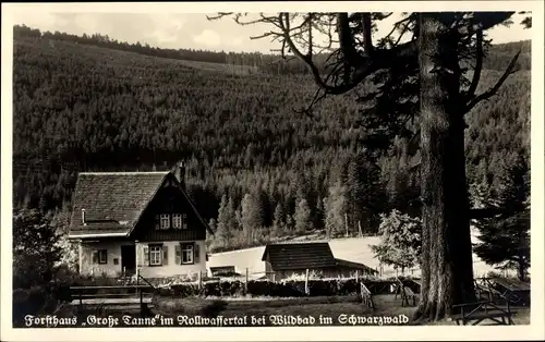 Ak Bad Wildbad im Schwarzwald, Forsthaus Große Tanne im Rollwassertal