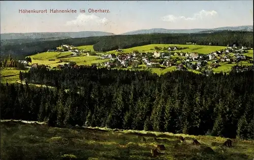 Ak Hahnenklee Bockswiese Goslar im Harz, Ortspanorama