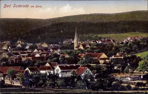 Ak Bad Suderode Quedlinburg im Harz, Panorama