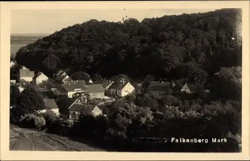 Foto Ak Falkenberg in der Mark, Blick auf den Ort mit umliegender Landschaft