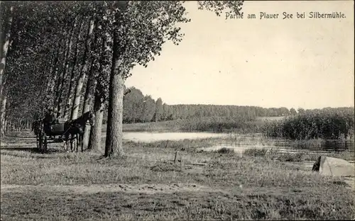 Ak Plau am See, Partie am Plauer See bei Silbermühle