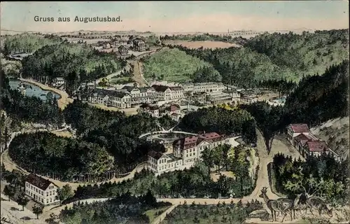 Künstler Ak Liegau Augustusbad Radeberg in Sachsen, Gesamtansicht