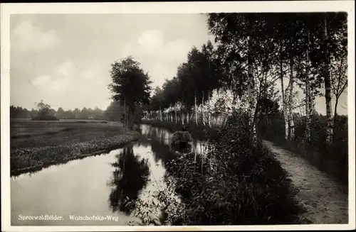 Ak Lübbenau im Spreewald, Wotschofskaweg, Birkenallee, Uferpartie, Boot