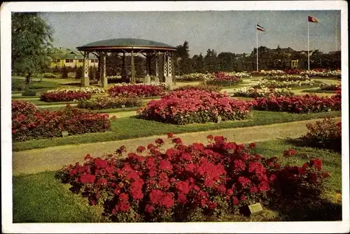 Ak Uetersen in Schleswig Holstein, Rosarium, Pavillon