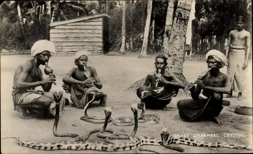 Ak Ceylon Sri Lanka, Snake Charmers, Schlangenbeschwörer, Kobras