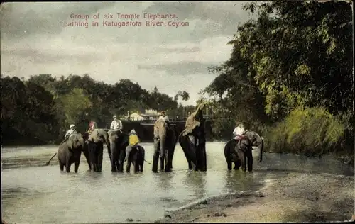 Ak Sri Lanka Ceylon, Sechs Elefanten, Katugastota River