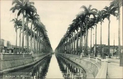 Ak Rio de Janeiro Brasilien, Avenida do Mangue