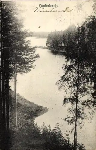 Ak Punkaharju Finnland, Wasserpartie, Wald
