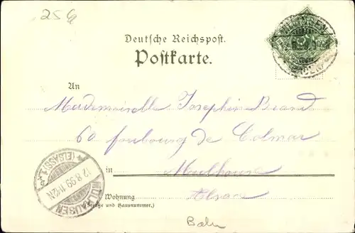 Litho Villingen im Schwarzwald, Münster, Romeus, Gesamtansicht