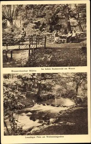 Ak Bad Kleinen in Mecklenburg, Brusenbecker Mühle, Buchenwald, Wallensteingraben