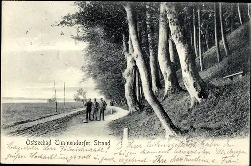 Ak Ostseebad Timmendorfer Strand, Weg am Waldrand