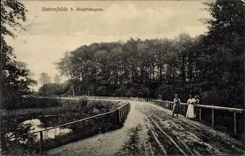 Ak Sattenfelde Tremsbüttel in Schleswig Holstein, Straßenpartie