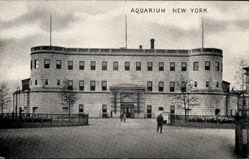 Ak New York City USA, Aquarium
