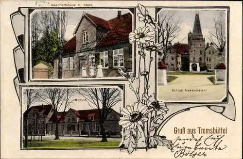 Ak Tremsbüttel in Schleswig Holstein, Geschäftshaus C. Stark, Schloss Hasenclever, Schule