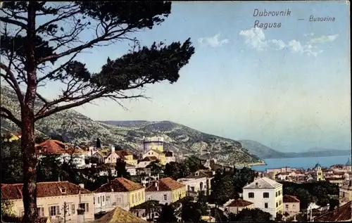 Ak Ragusa Dubrovnik Kroatien, Busovina, Teilansicht
