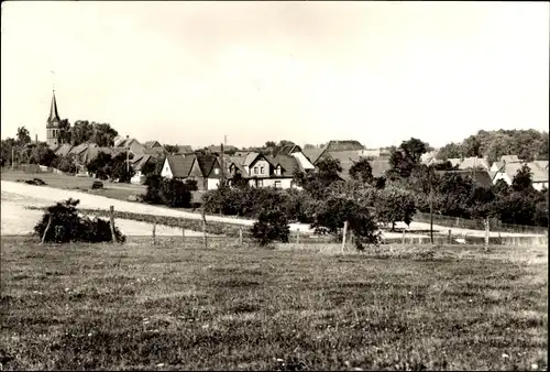 Ak Neudorf Harzgerode am Harz, Panorama