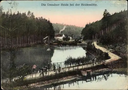 Ak Dresden Langebrück, Dresdner Heide, Heidemühle, Haidemühle