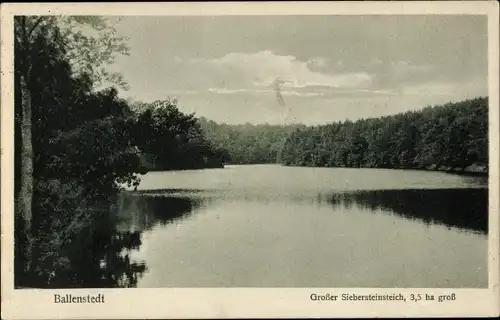 Ak Ballenstedt im Harz, Großer Siebersteinsteich