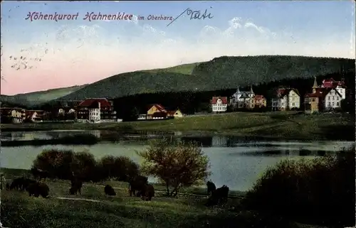 Ak Hahnenklee Bockswiese Goslar im Harz, Panorama