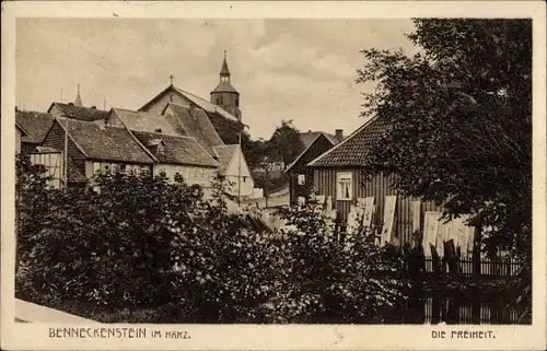 Ak Benneckenstein Oberharz am Brocken, Straßenpartie in der Freiheit