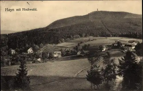 Ak Hain Hayn Oybin Oberlausitz, Gesamtansicht, Hochwald