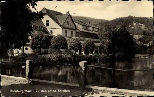 Ak Ilsenburg im Harz, Zu den roten Forellen