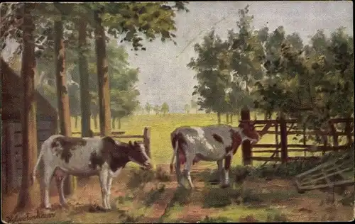 Künstler Ak Gerstenhauer, J. G., niederländisches Motiv, Kühe