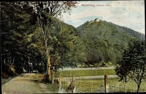 Ak Meiseberg Harzgerode OT Alexisbad, Selketal, Haus
