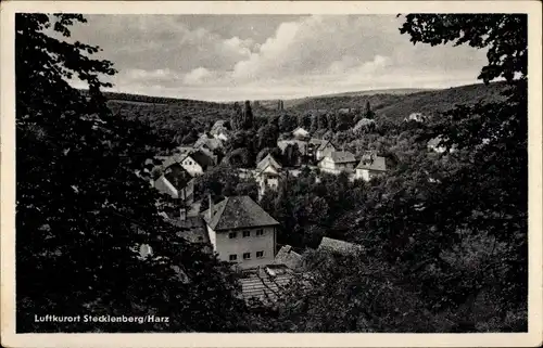 Ak Stecklenberg Thale im Harz, Teilansicht